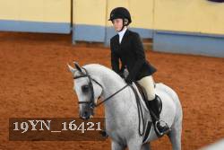 19YN_16421 thumbnail
