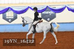 19YN_16422 thumbnail