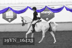 19YN_16423 thumbnail