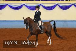 19YN_16424 thumbnail