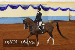19YN_16425 thumbnail
