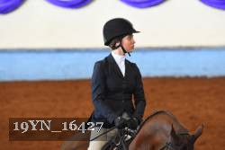 19YN_16427 thumbnail