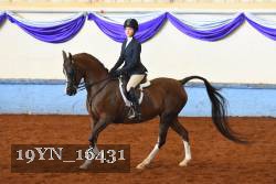 19YN_16431 thumbnail