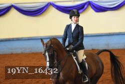 19YN_16432 thumbnail