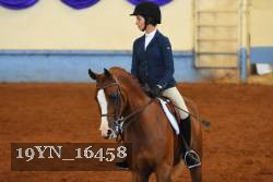 19YN_16458 thumbnail