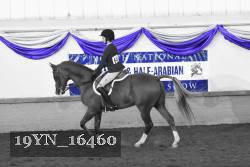 19YN_16460 thumbnail