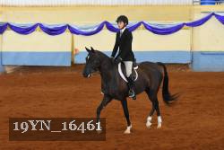19YN_16461 thumbnail
