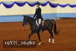 19YN_16462 thumbnail