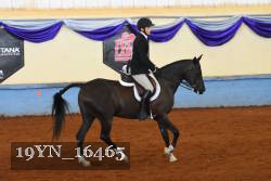 19YN_16465 thumbnail
