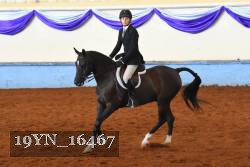 19YN_16467 thumbnail