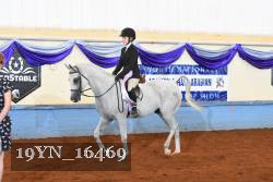 19YN_16469 thumbnail
