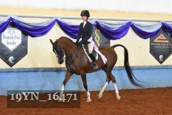 19YN_16471 thumbnail