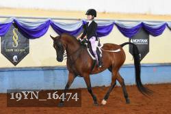 19YN_16474 thumbnail