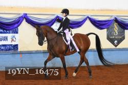 19YN_16475 thumbnail