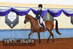 19YN_16482 thumbnail