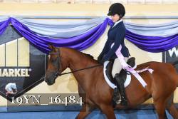 19YN_16484 thumbnail