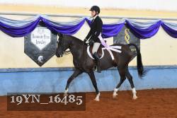 19YN_16485 thumbnail