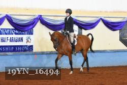 19YN_16494 thumbnail