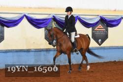 19YN_16500 thumbnail