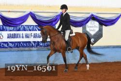19YN_16501 thumbnail