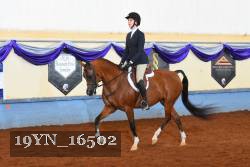 19YN_16502 thumbnail