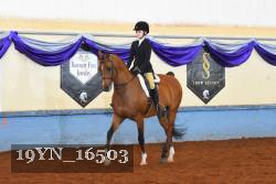 19YN_16503 thumbnail