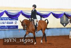 19YN_16505 thumbnail