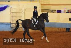 19YN_16745 thumbnail