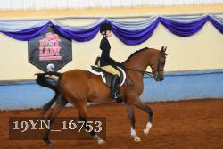 19YN_16753 thumbnail