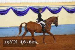 19YN_16762 thumbnail