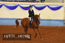 19YN_16763 thumbnail