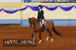 19YN_16765 thumbnail