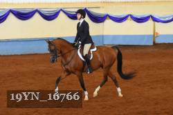 19YN_16766 thumbnail