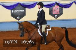 19YN_16767 thumbnail