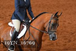 19YN_16769 thumbnail