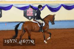 19YN_16770 thumbnail