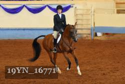 19YN_16771 thumbnail