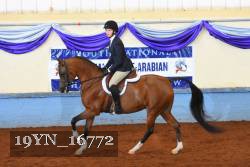 19YN_16772 thumbnail