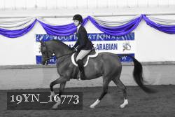 19YN_16773 thumbnail