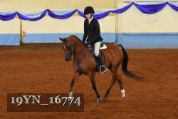 19YN_16774 thumbnail