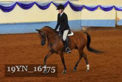 19YN_16775 thumbnail