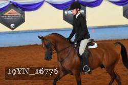 19YN_16776 thumbnail