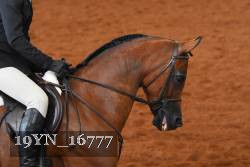 19YN_16777 thumbnail