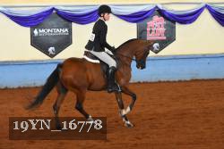 19YN_16778 thumbnail