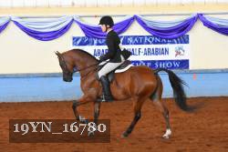 19YN_16780 thumbnail