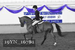 19YN_16781 thumbnail