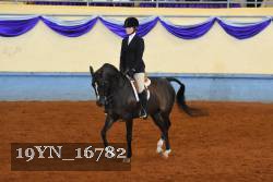 19YN_16782 thumbnail
