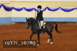 19YN_16783 thumbnail
