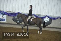 19YN_41626 thumbnail