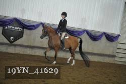 19YN_41629 thumbnail
